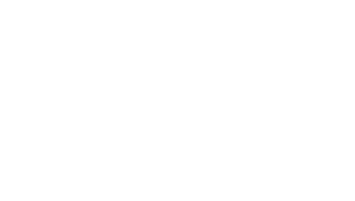 PayLink logo, a client of Daam Al-Arabia, highlighting expertise in PCI DSS and data security services.